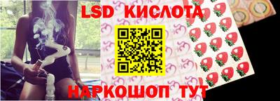 дмт Камышлов