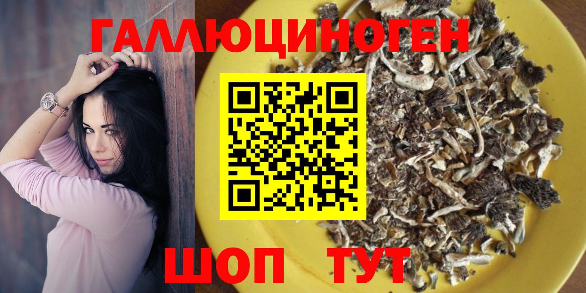 Галлюциногенные грибы MAGIC MUSHROOMS  где найти   Луга  Вход с VPN 
