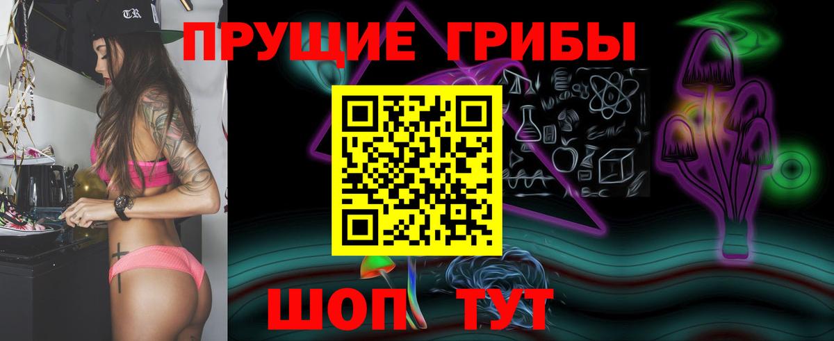 Галлюциногенные грибы GOLDEN TEACHER Луга